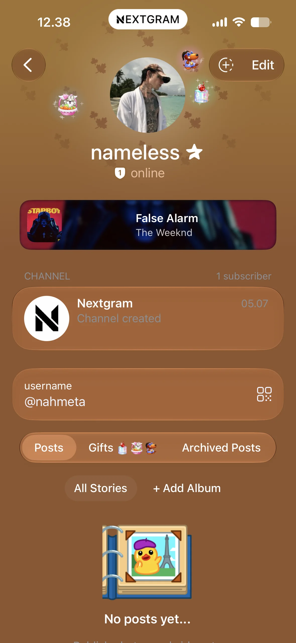 Nextgram profile
